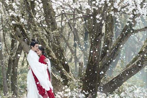 Thinkphp6.1開發Ai網址導航源碼